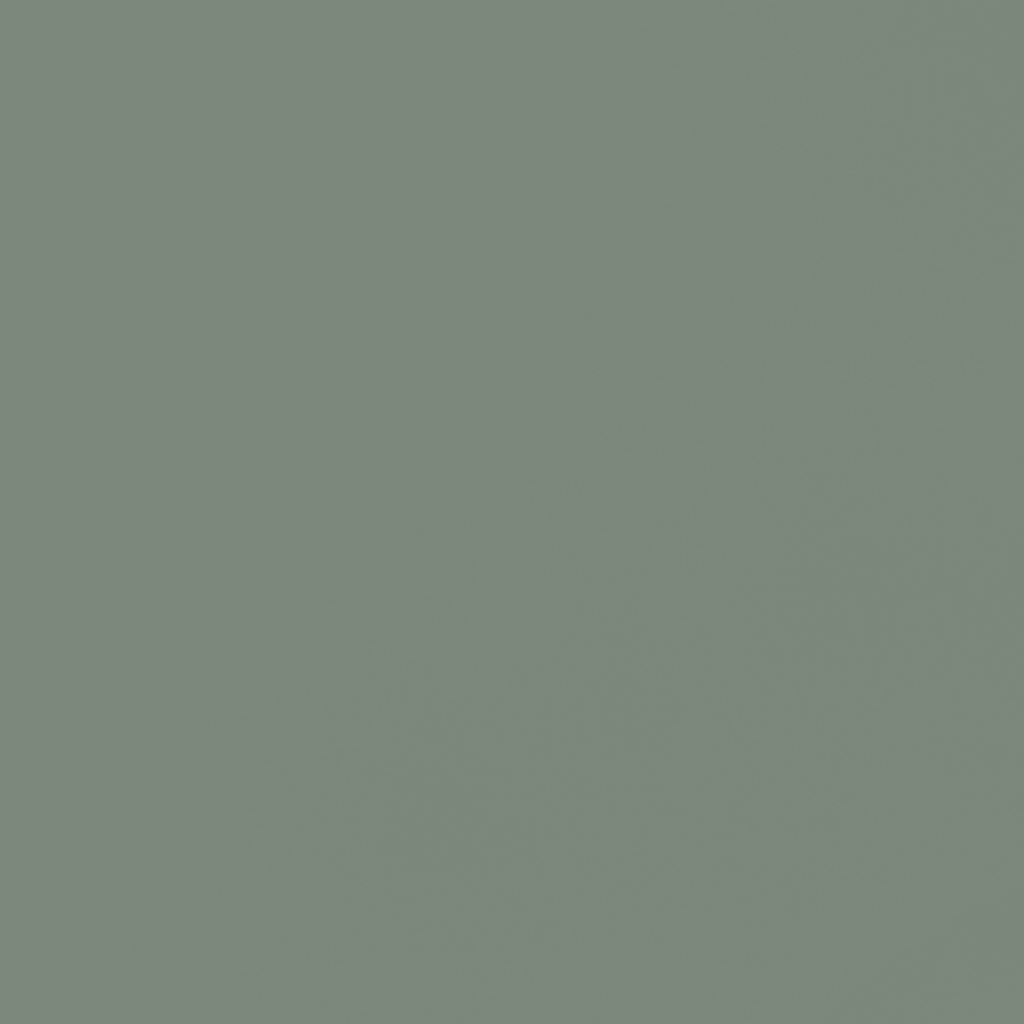 038 Schilf